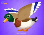 Mallard Duck Character – Ultimate 2-Variant Rigged or Animated for Adobe Animate CC Product Overview - Image 2