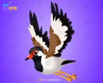 Red-Wattled Lapwing (Titahri) – Elite 2-in-1 Rigged & Animated Master Bundle for Adobe Animate CC - Image 2