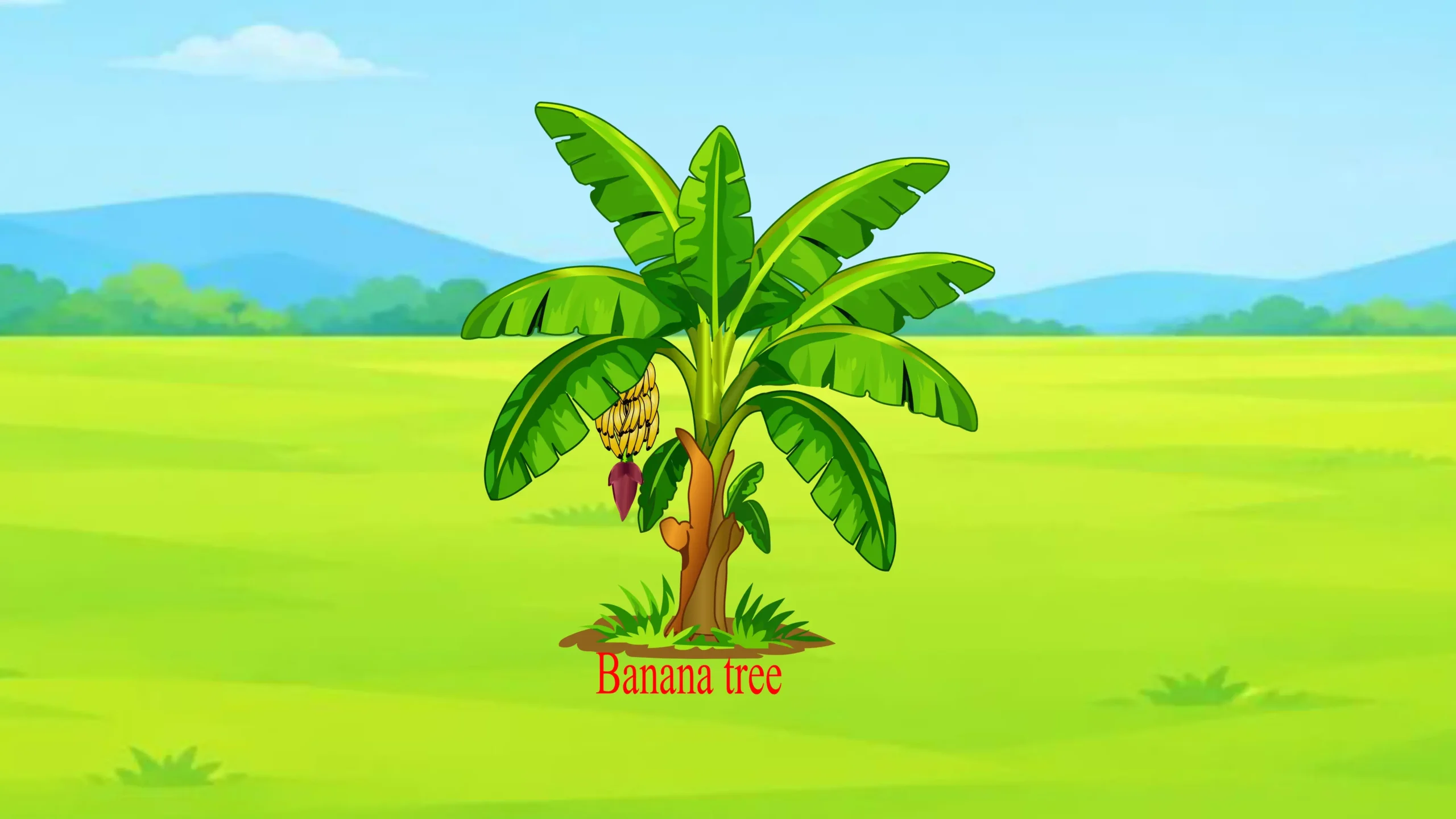 Banana_Tree Thumbnail Banana Tree - Image 1