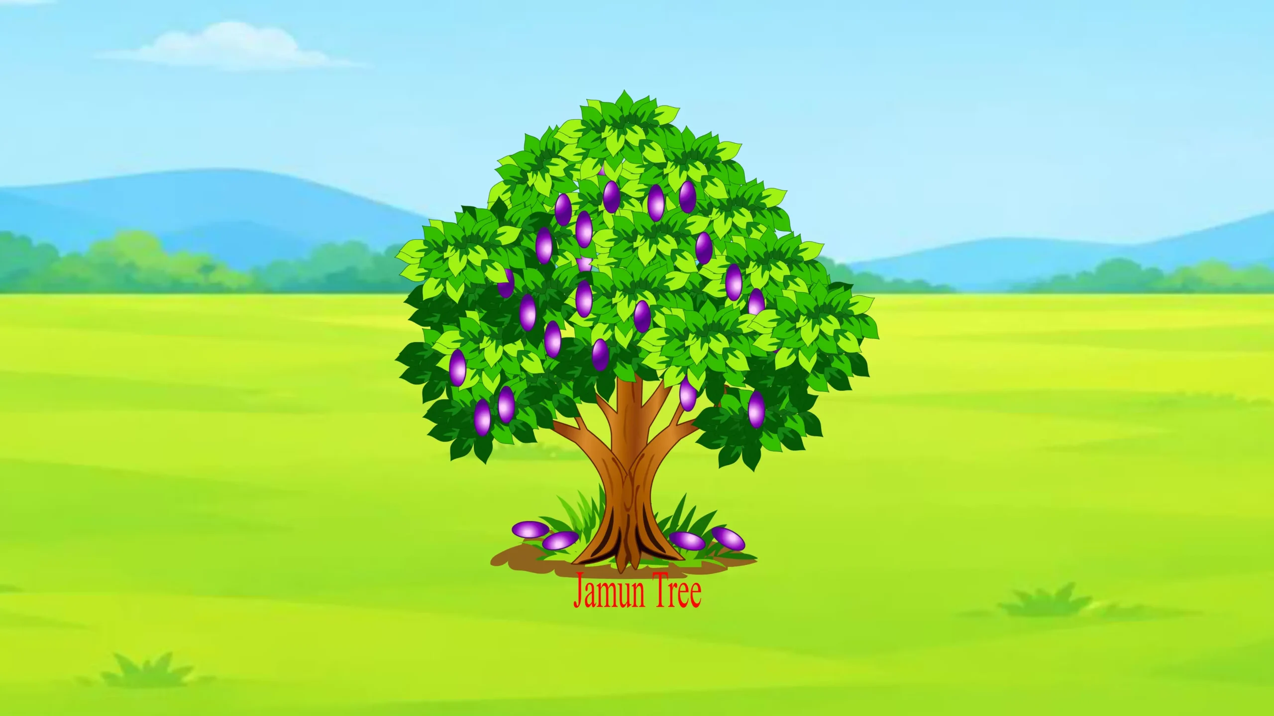 Jamun Tree Thumbnail Jamun Tree - Image 1