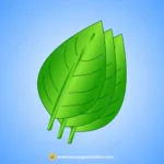 Mango Leaves Bundle