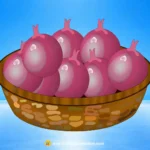 Fresh Red Onion