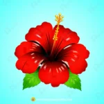 Red Hibiscus Flower