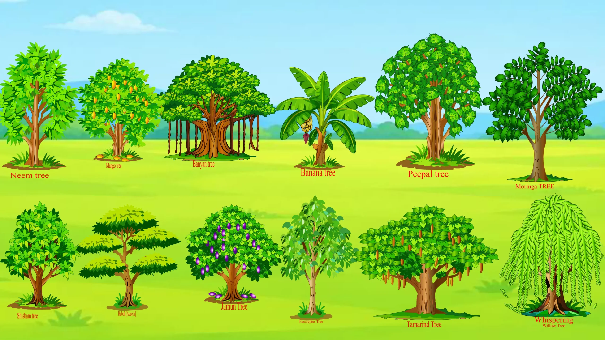 trees-with-BGs-Thumnail Indian Trees Collection - Image 1